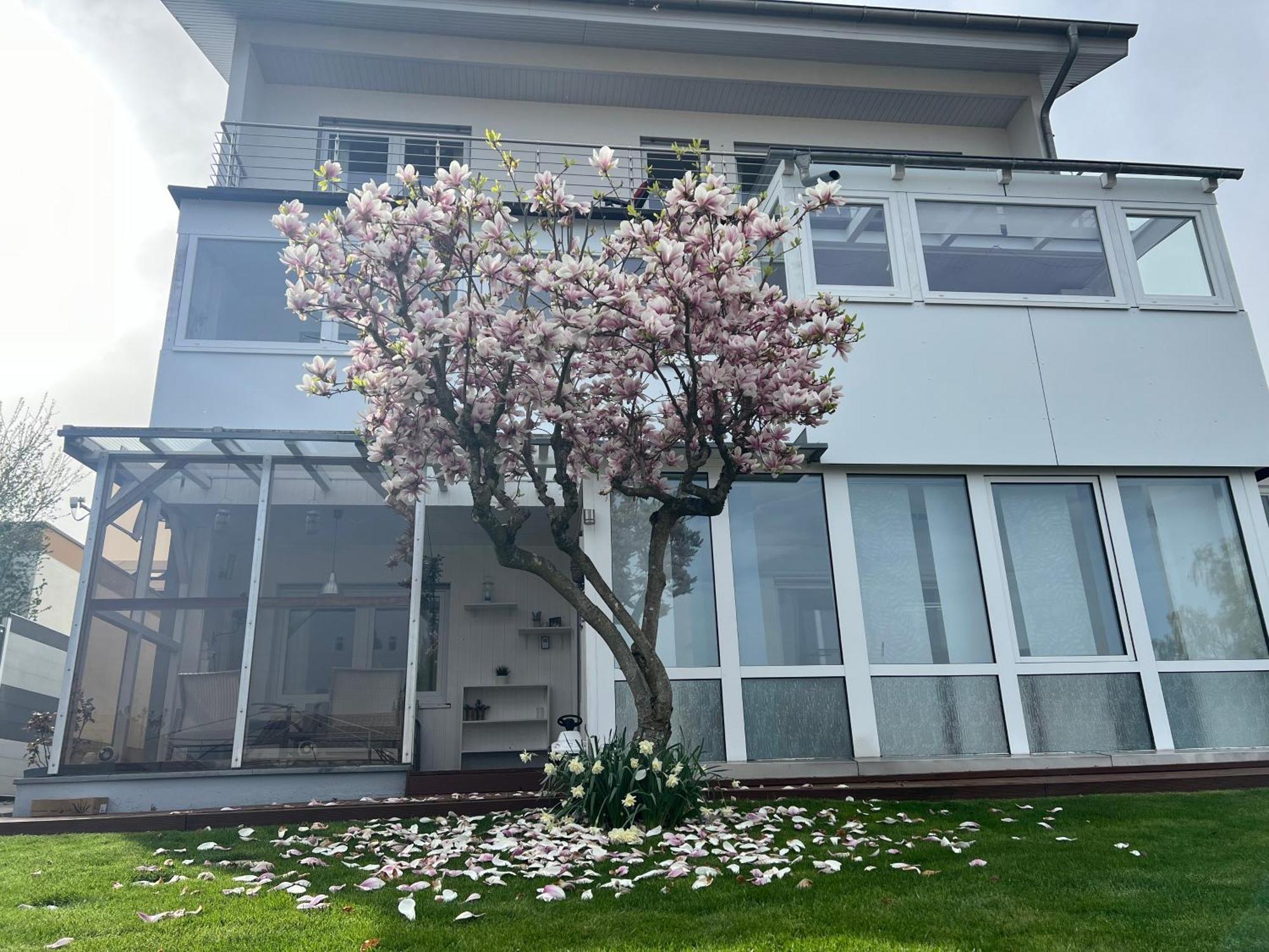 Ferienwohnung Schwarzwald Lodge เชิมแบร์ก ภายนอก รูปภาพ